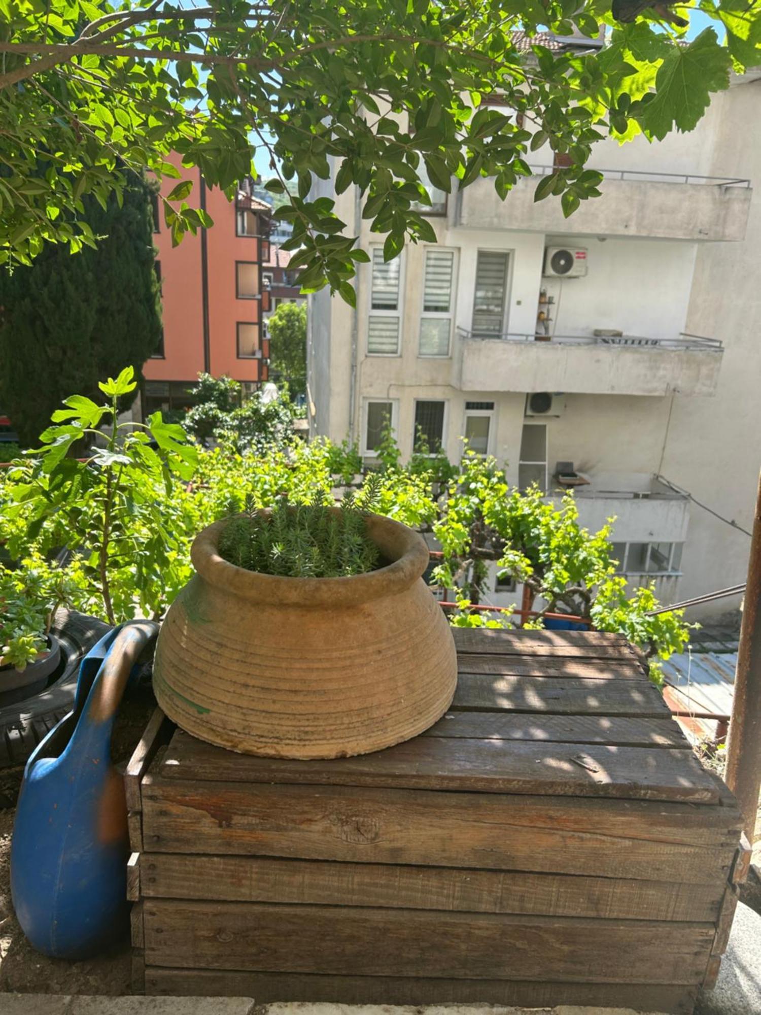 Didi House Apartment Сандански Екстериор снимка