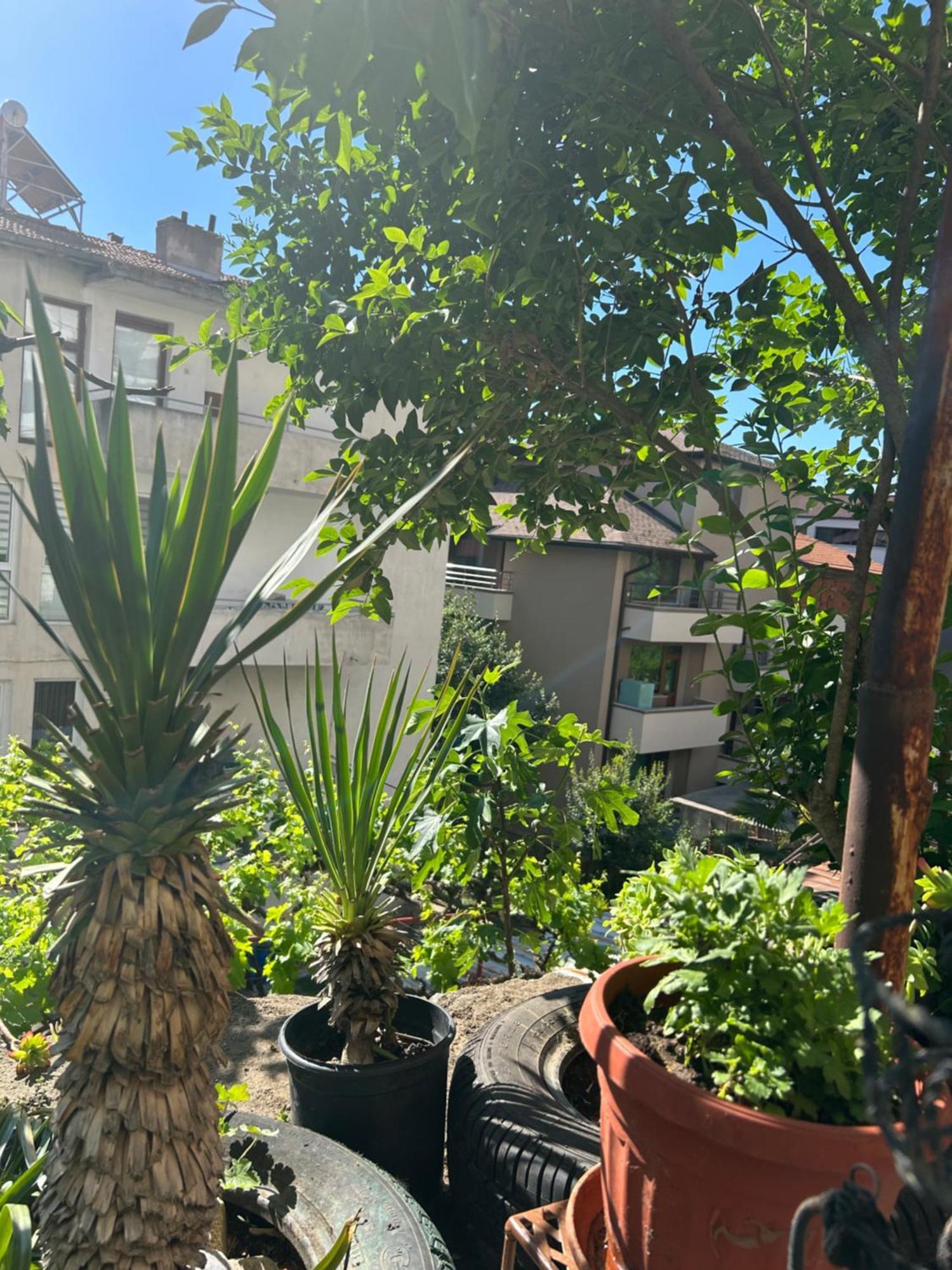 Didi House Apartment Сандански Екстериор снимка