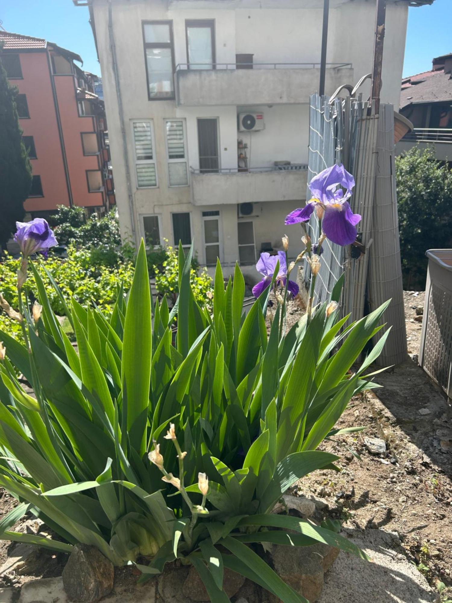 Didi House Apartment Сандански Екстериор снимка